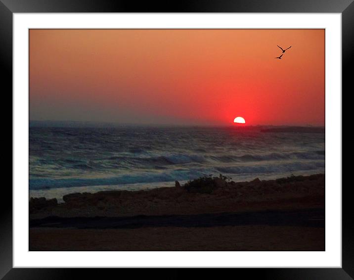 cyprus sunset Framed Mounted Print by sue davies