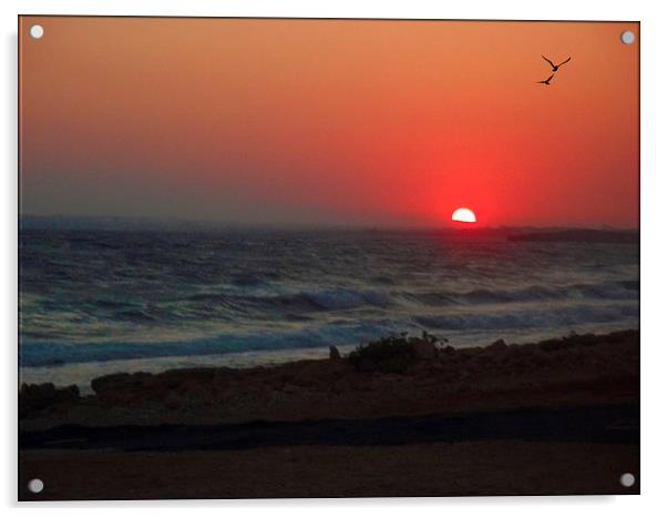 cyprus sunset Acrylic by sue davies
