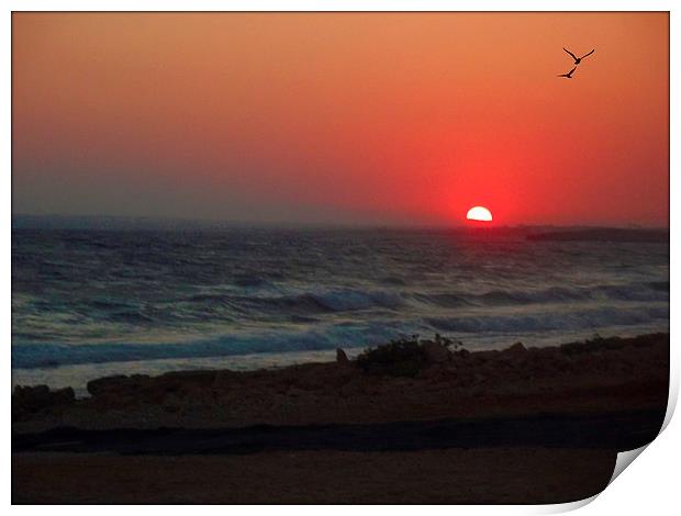 cyprus sunset Print by sue davies