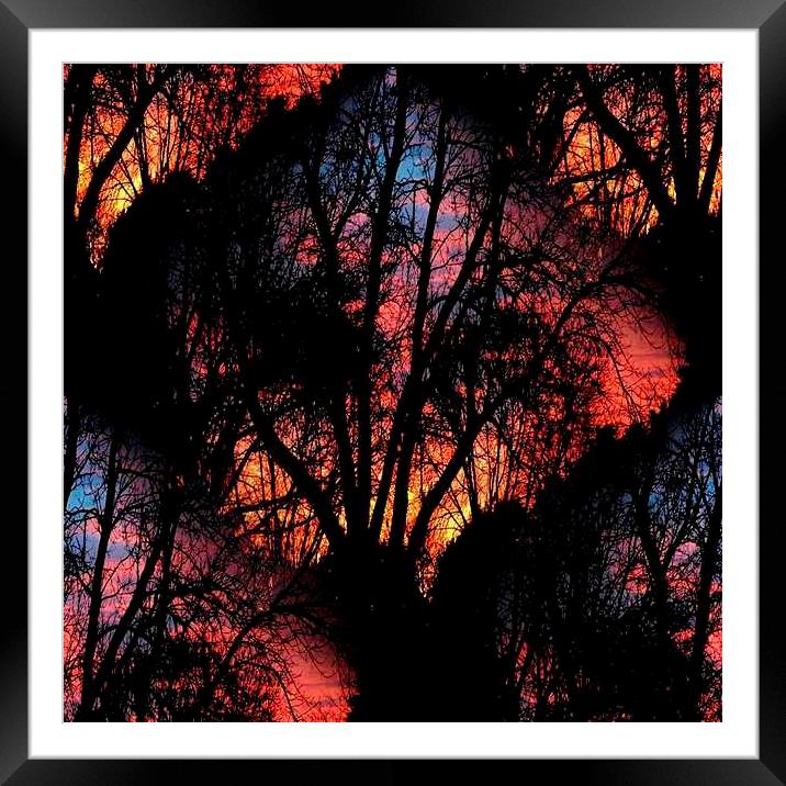 Dawns Early Light Framed Mounted Print by Pamela Briggs-Luther