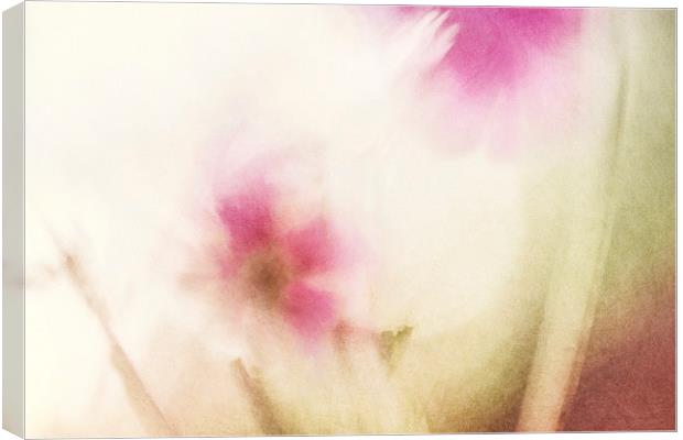 Dream Flower Abstract 1 of 2 Canvas Print by Natalie Kinnear