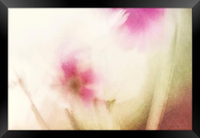 Dream Flower Abstract 1 of 2 Framed Print by Natalie Kinnear