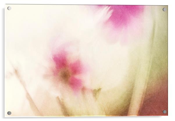 Dream Flower Abstract 1 of 2 Acrylic by Natalie Kinnear