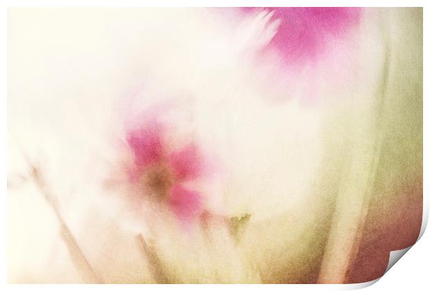 Dream Flower Abstract 1 of 2 Print by Natalie Kinnear