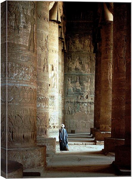 JST2125 Temple of Edfu Canvas Print by Jim Tampin