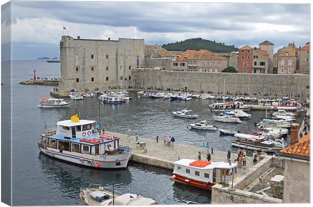 Dubrovnik Old Harbour Canvas Print by Tony Murtagh