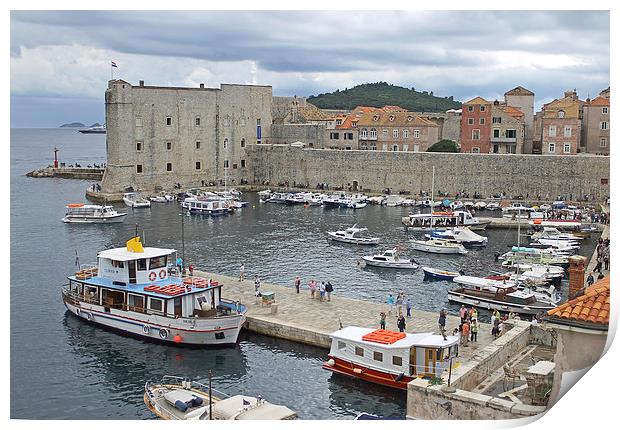 Dubrovnik Old Harbour Print by Tony Murtagh