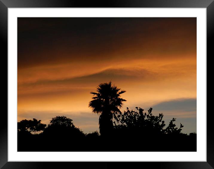 sunset Framed Mounted Print by Sapir Porat