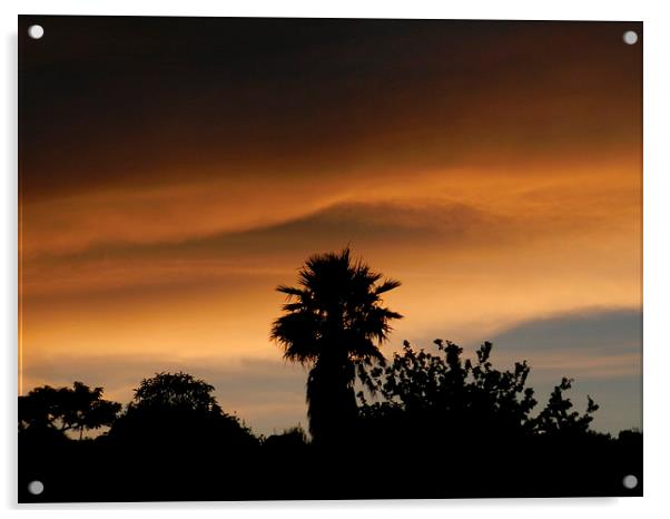 sunset Acrylic by Sapir Porat