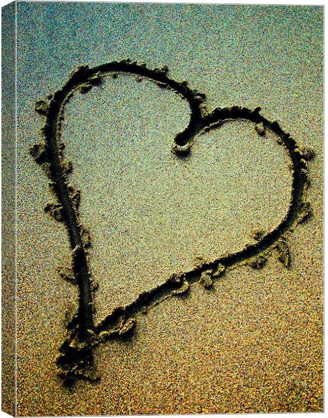 heart in the sand Canvas Print by Heather Newton