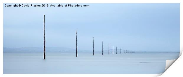 Holy Island Causeway Marker Posts Print by David Preston