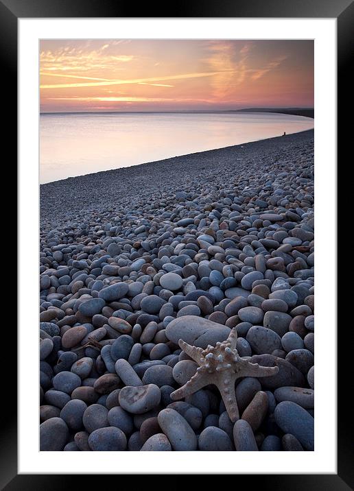Chesil Beach Starfish Framed Mounted Print by Graham Custance