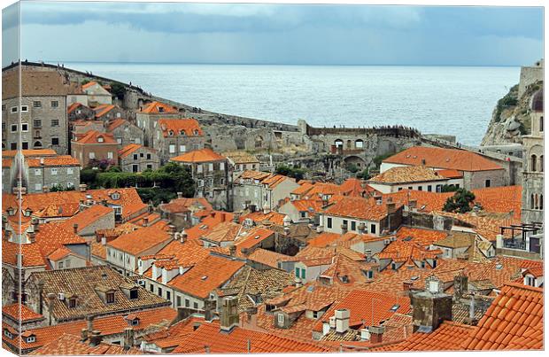 Dubrovnik Rooftops and Walls Canvas Print by Tony Murtagh