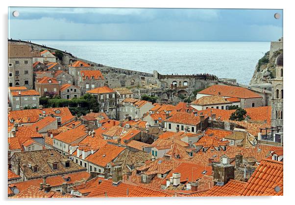 Dubrovnik Rooftops and Walls Acrylic by Tony Murtagh