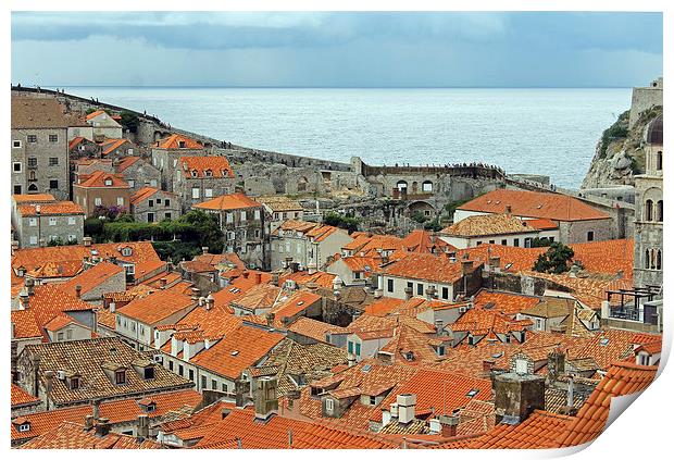 Dubrovnik Rooftops and Walls Print by Tony Murtagh