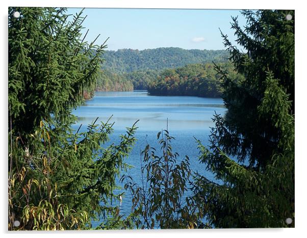 Stephens Lake Acrylic by david watts