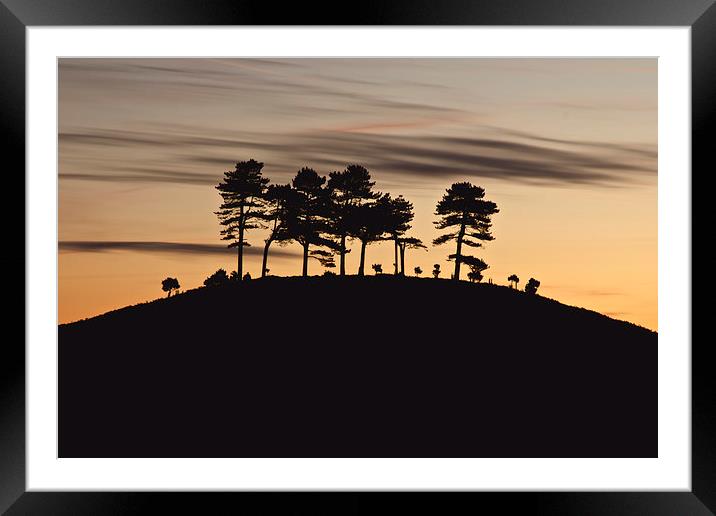 Colmers Hill Framed Mounted Print by Paul Brewer