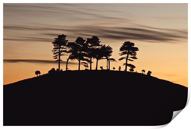Colmers Hill Print by Paul Brewer