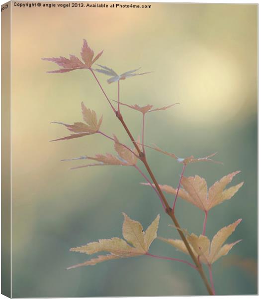 Autumn Changes Canvas Print by angie vogel