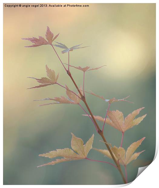 Autumn Changes Print by angie vogel
