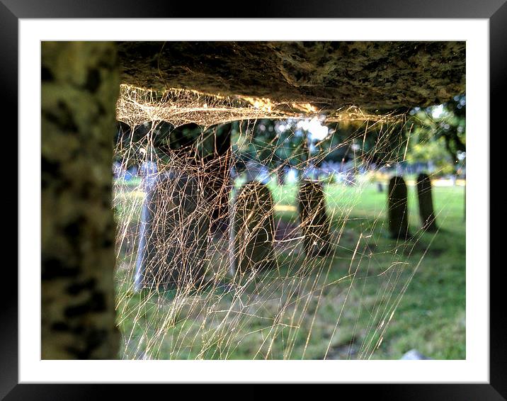 Spiders View of Cemetery Framed Mounted Print by Peter McCormack