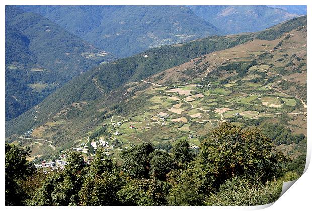 Agricultural Patchwork in the Eastern Himalaya Print by Carole-Anne Fooks