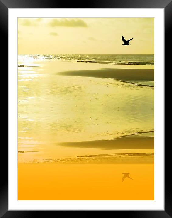 Sunset sand Framed Mounted Print by Sharon Lisa Clarke