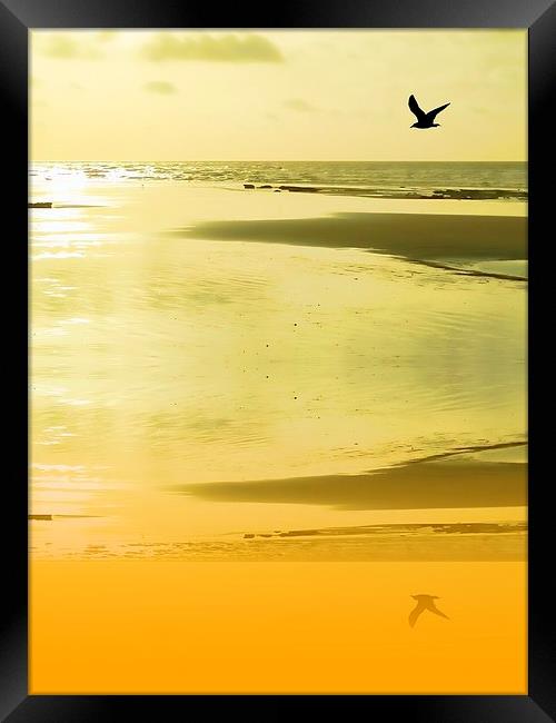 Sunset sand Framed Print by Sharon Lisa Clarke