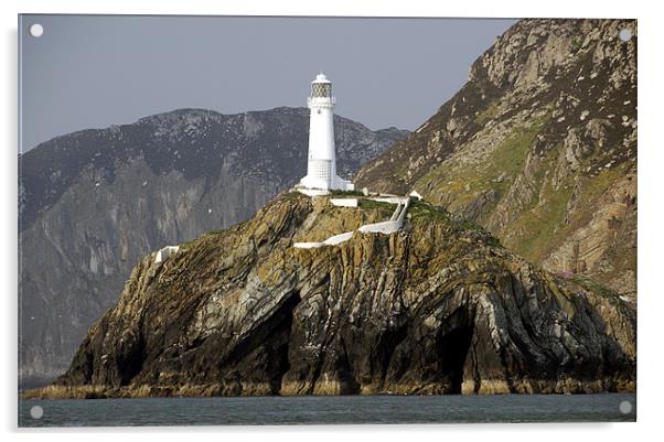 South Stack Lighthouse Acrylic by James Lavott