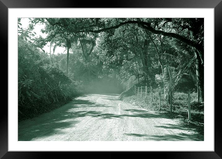 Along the Dusty Road Framed Mounted Print by james balzano, jr.