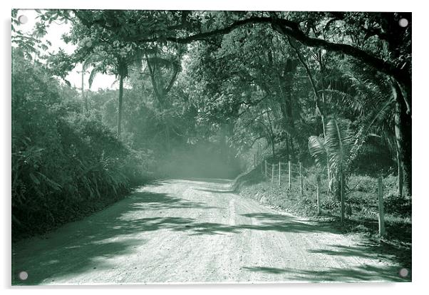 Along the Dusty Road Acrylic by james balzano, jr.