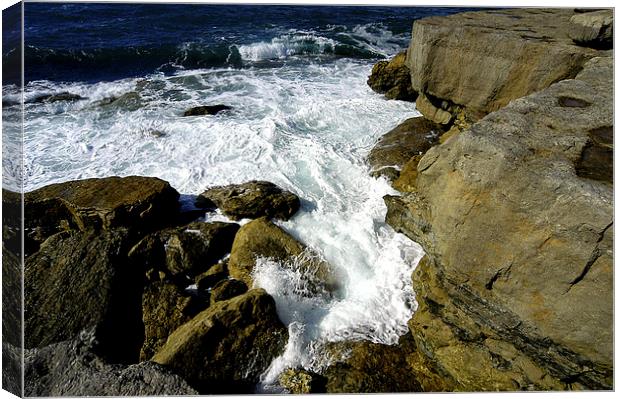 JST2581 Sea the Rocks Canvas Print by Jim Tampin
