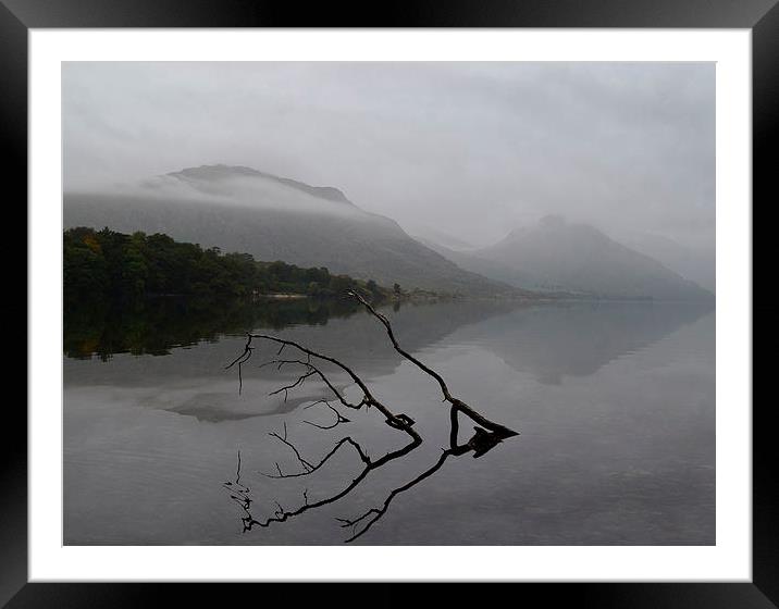 Branches emerging from water Framed Mounted Print by Chris Himsworth