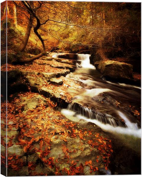 Autumn In The Glen Canvas Print by clint hudson