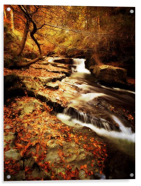 Autumn In The Glen Acrylic by clint hudson