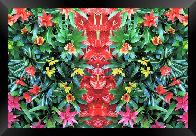 Tropical flower pattern Framed Print by Ruth Hallam