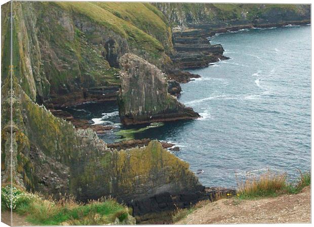 The Old Head of Kinsale Canvas Print by Kelly Cronin
