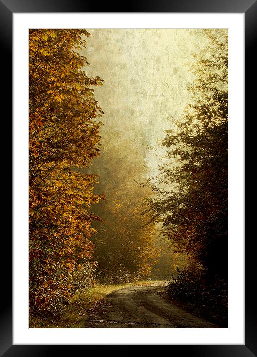 Another Road Travelled Framed Mounted Print by Belinda Greb
