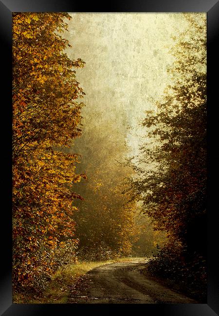 Another Road Travelled Framed Print by Belinda Greb