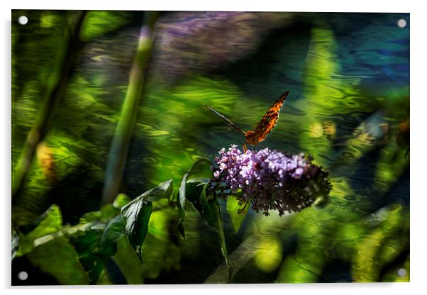 Butterfly Ripple Acrylic by Belinda Greb