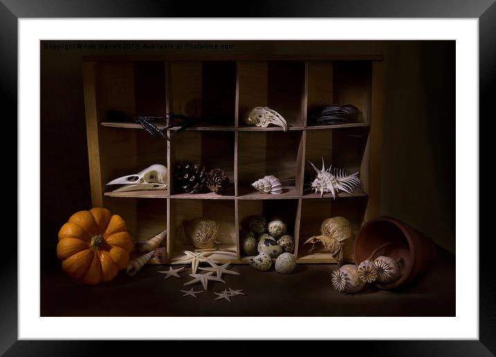 Halloween Collection Framed Mounted Print by Ann Garrett