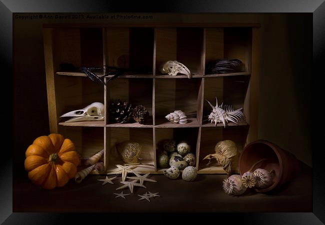 Halloween Collection Framed Print by Ann Garrett