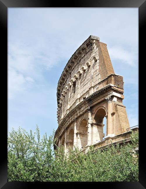 Flavian Icon Framed Print by Robert Geldard