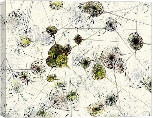 Neural Network Canvas Print by Anastasiya Malakhova