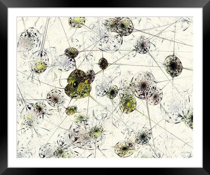 Neural Network Framed Mounted Print by Anastasiya Malakhova