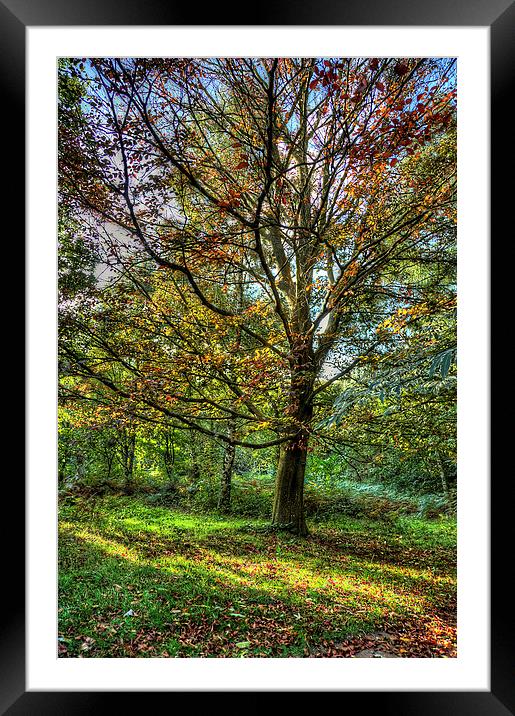 Goodbye Summer, Hello Autumn Framed Mounted Print by Simon West