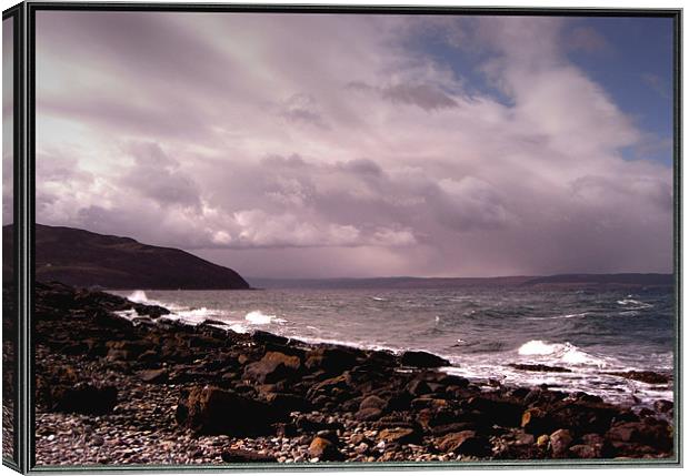 Sea and Sky Canvas Print by Vivienne Barker