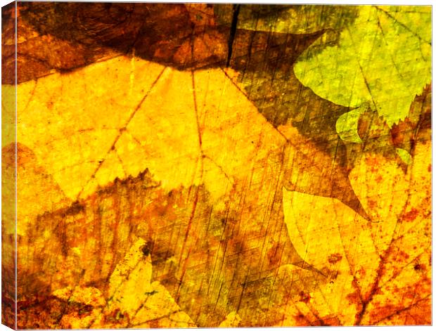 Autumn Leaves Canvas Print by Nick Jeffery