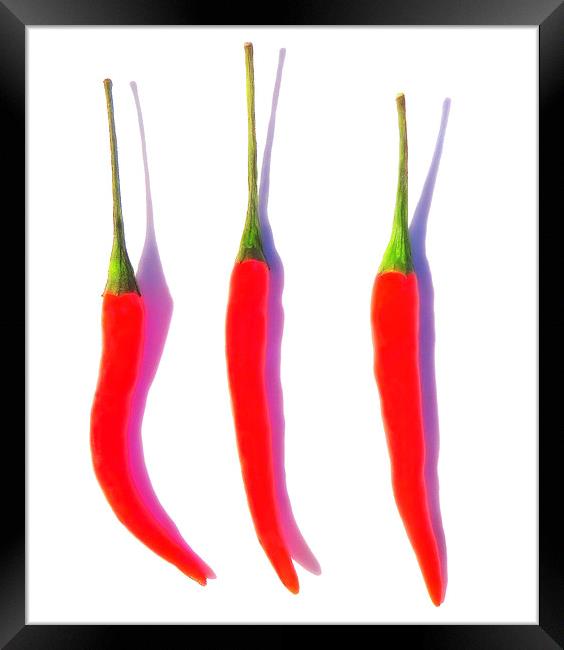 Red Hot Chili Pepper Framed Print by Scott Anderson