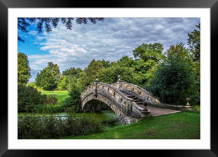 Bridge to Tranquility Framed Mounted Print by Tracey Selby